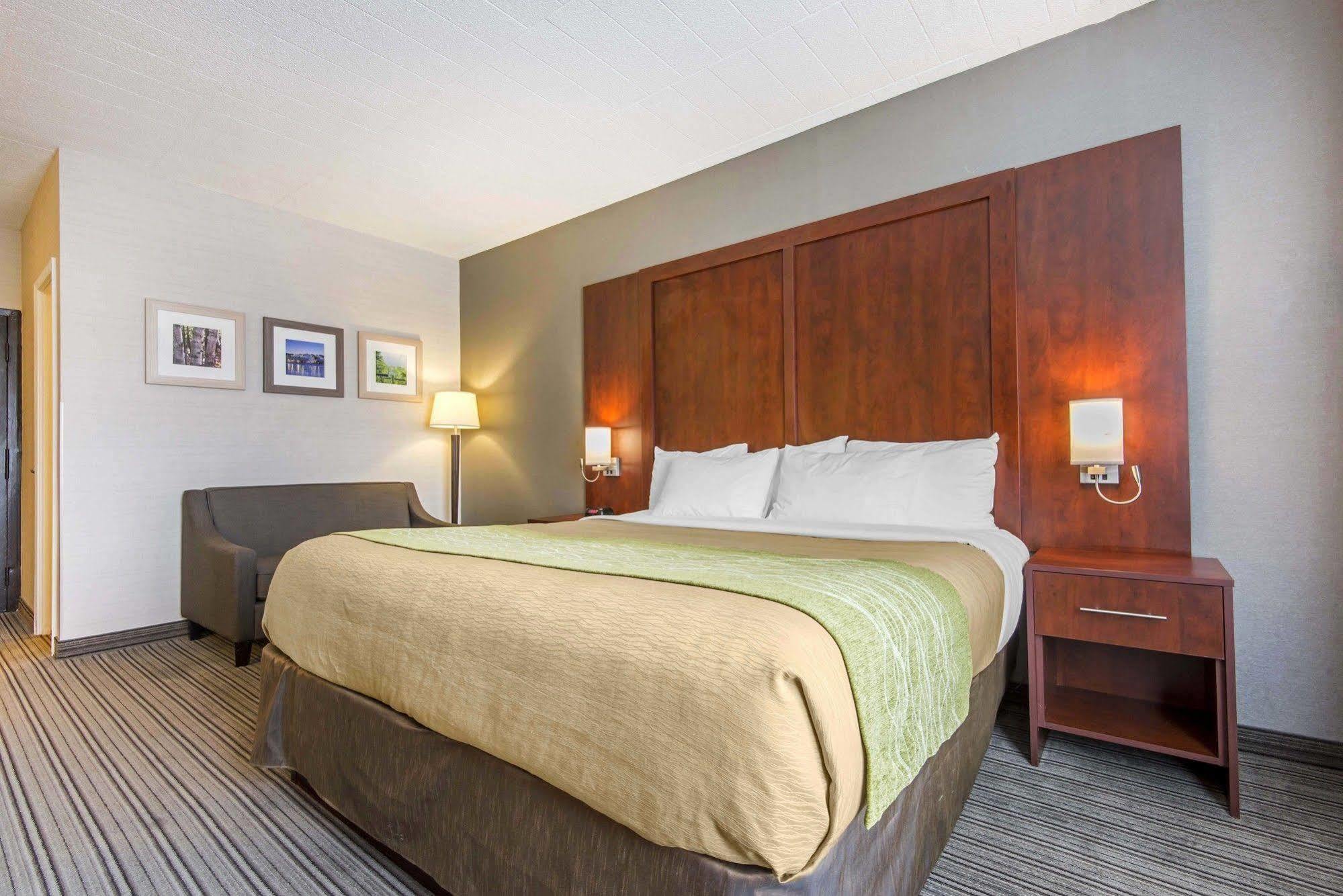 Comfort Inn & Suites Collingwood Exteriör bild